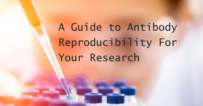 A Guide to Antibody Reproducibility For Your Research