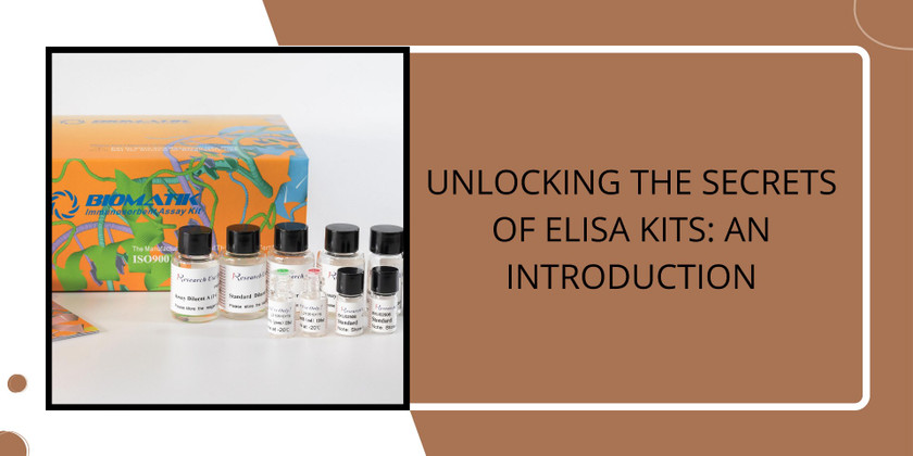 Unlocking the Secrets of Elisa Kits: An Introduction