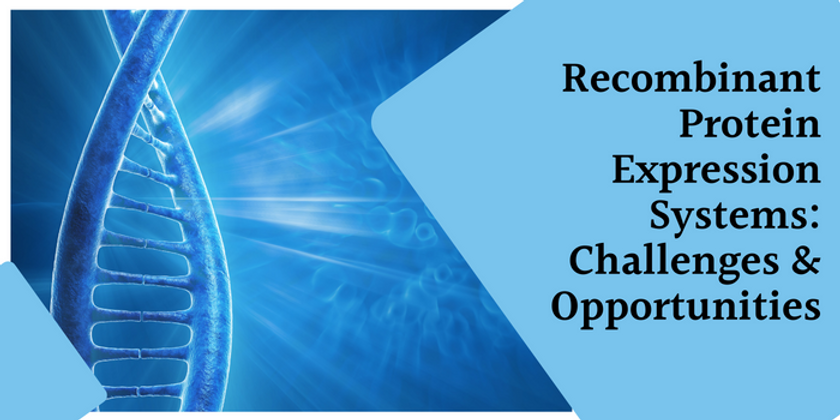 Recombinant Protein Expression Systems: Challenges & Opportunities