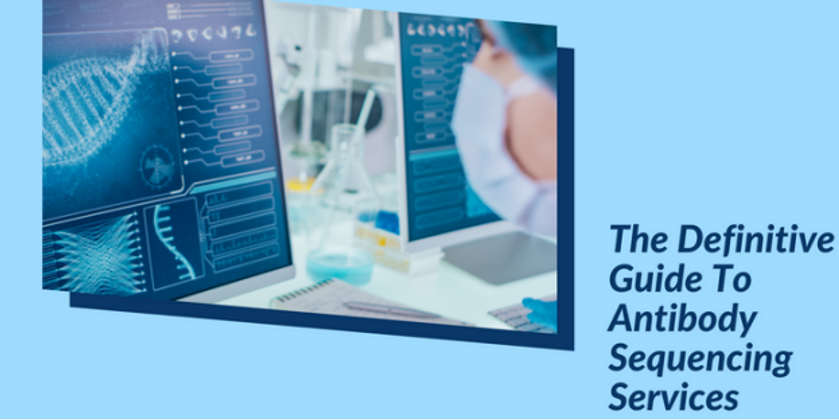 The Definitive Guide To Antibody Sequencing Services