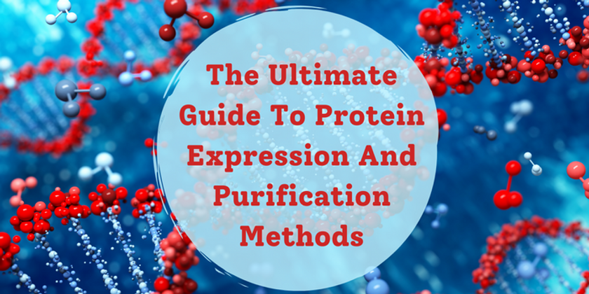 The Ultimate Guide to Protein Expression And Purification Methods