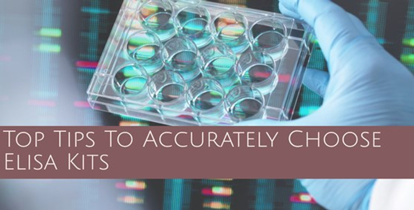 Top Tips To Accurately Choose Elisa Kits