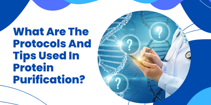 What Are The Protocols And Tips Used In Protein Purification?