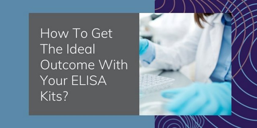 How To Get The Ideal Outcome With Your ELISA Kits? 