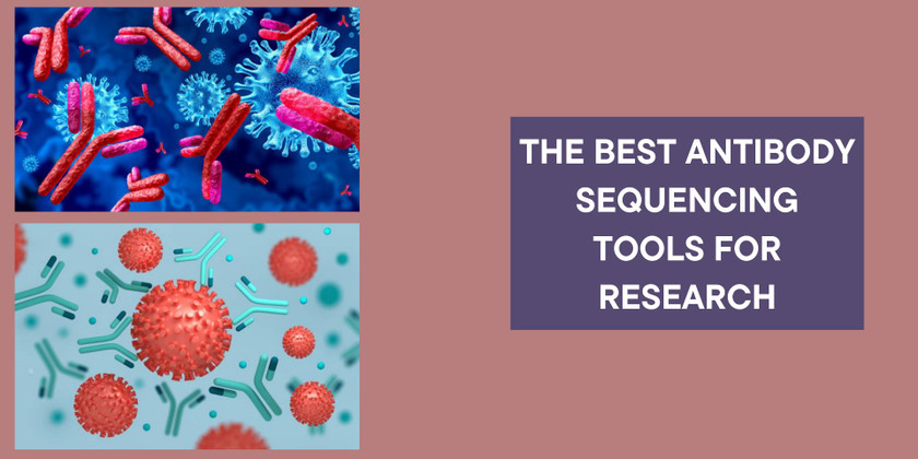 The Best Antibody Sequencing Tools for Research