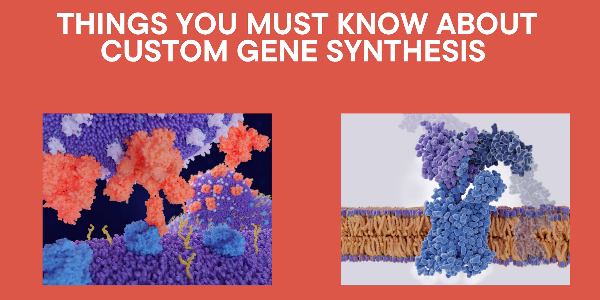 Things You Must Know About Custom Gene Synthesis Biomatik