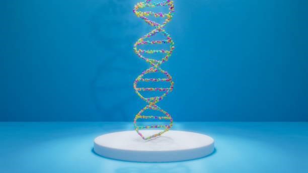 antibody production optimization