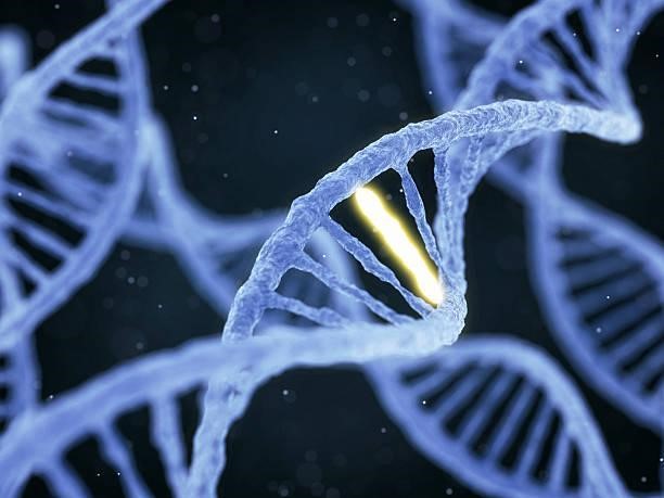 maximizing antibody production efficiency