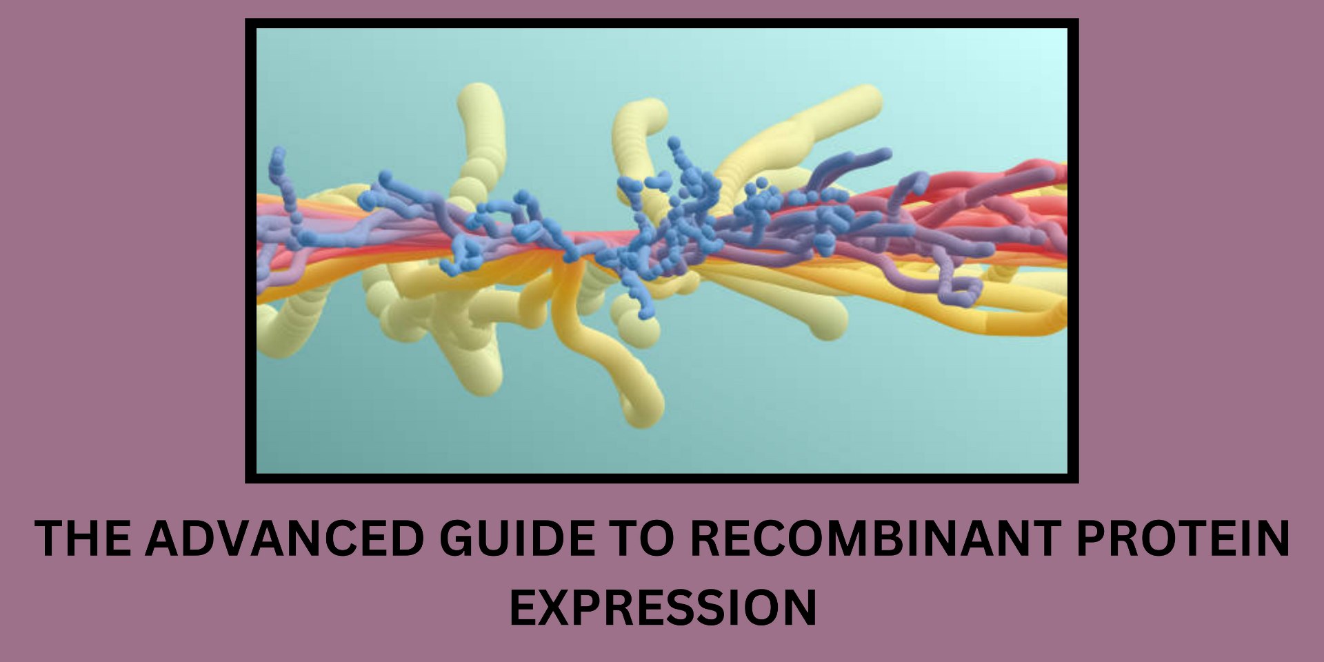 The Advanced Guide to Protein Expression Biomatik