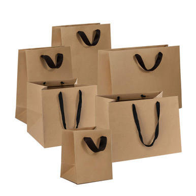 Image of Kraft Manhattan Gift Bags