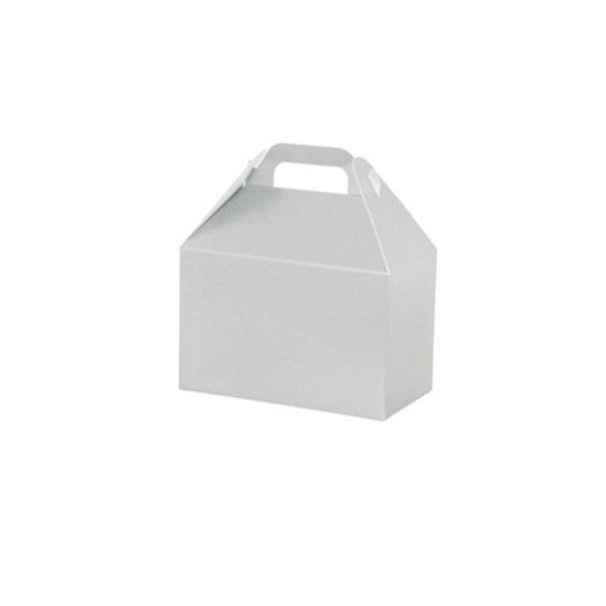 Image of Metallic Silver Gable Boxes