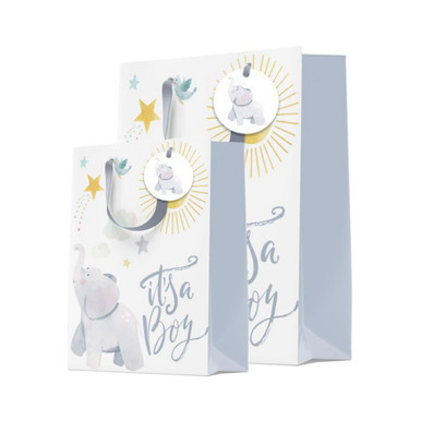 Image of It's A Boy Gift Bags