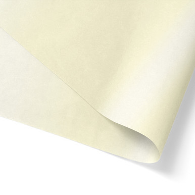 Image of Ivory Pearlized Tissue Paper