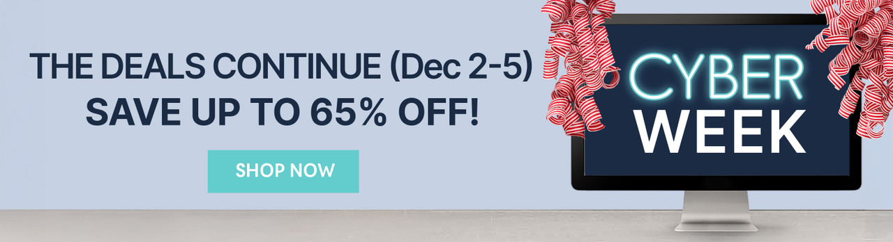 cyber week 2025_DT 2