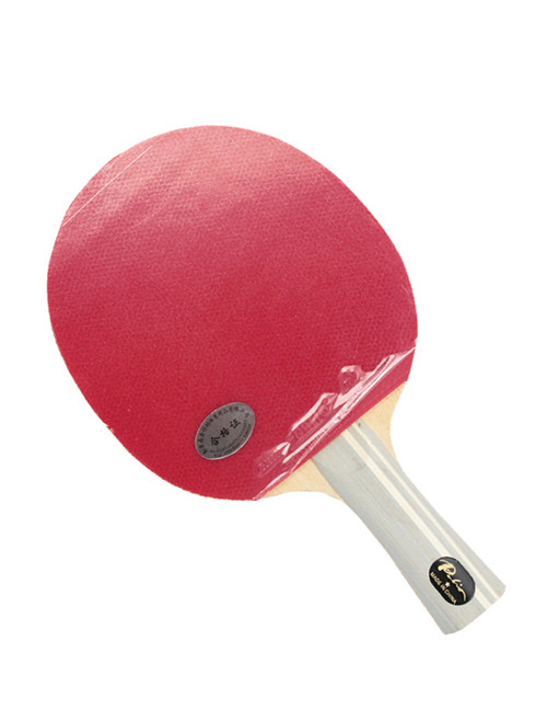 Palio 1 Star Student Table Tennis Bat with HK1997 rubbers. Complete with zipped racket case