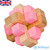 IQ Wooden 3D Puzzle #6 Colour Look Back