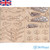 IQ Wooden Model Kit Honey Bee