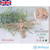 IQ Wooden Model Kit Honey Bee