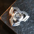 Shuriken Premium Stainless Steel Finger Spinner Polished 