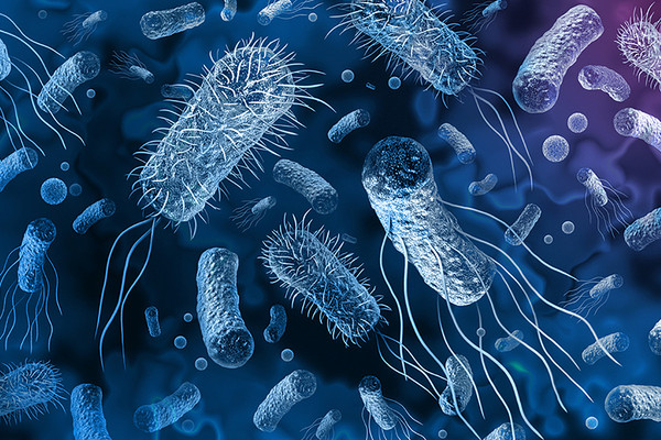 CpxBIOME – bél mikrobiom vizsgálat