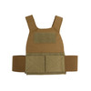 Reduced Visibility Plate Carrier