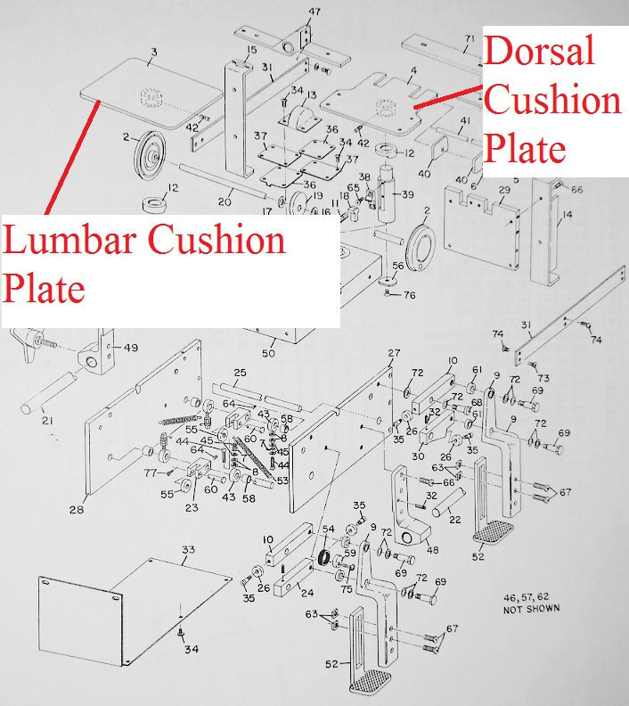 Looking for a Zenith 320/420/440 Lumbar Cushion Plate, Zenith 320 Lumbar Cushion Plate, Zenith 420 Lumbar Cushion Plate, Zenith 440 Lumbar Cushion Plate, Zenith Cushion Plate, Zenith II Lumbar Cushion Plate, Zenith Lumbar Cushion Plate, Zenith Lumbar Plate, Zenith Cushion Plate for sale, Zenith Plate, Zenith Parts?