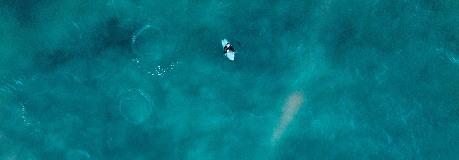 Surfer waits for a wave in the ocean