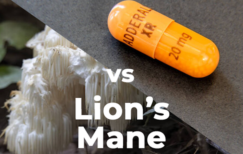 Adderall vs. Lions Mane 