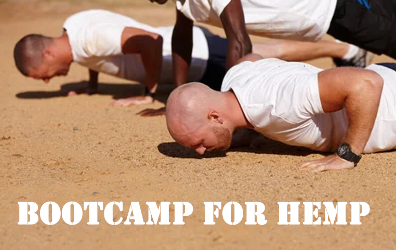 Hemp Bootcamp