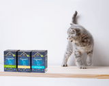 Benefits of the Freeze-Dried Process