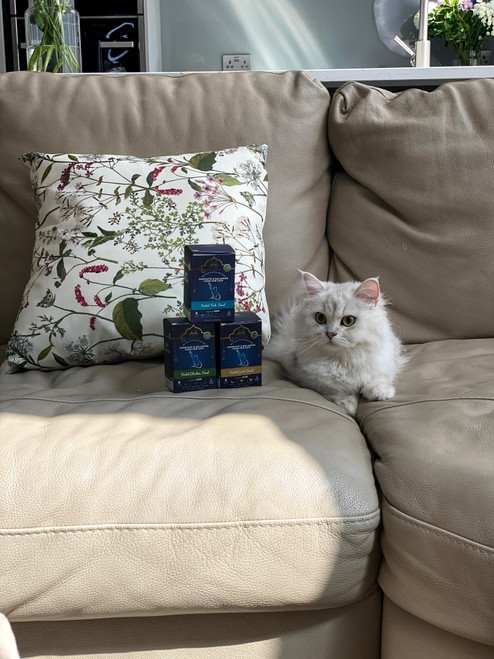 Trial Pack Halal Cat Food Multi Flavours