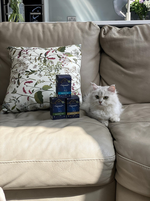 Halal Cat Food Fish Feast-500g makes 2Kg food avg 50 meals/portions