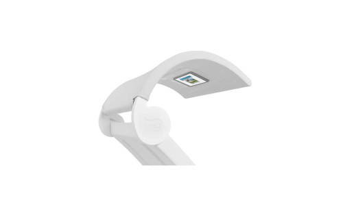 White Frame Signature Chaise Shade