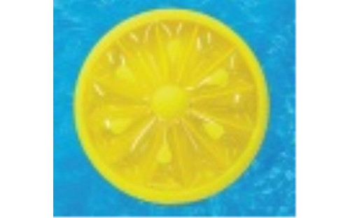 Fruit Slice Floating Island Assorted 60"