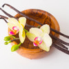 Bowl with vanilla beans
and flower