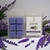 Lavender with Vanilla wax melt clamshell and cubes surrounded by fresh lavender sprigs