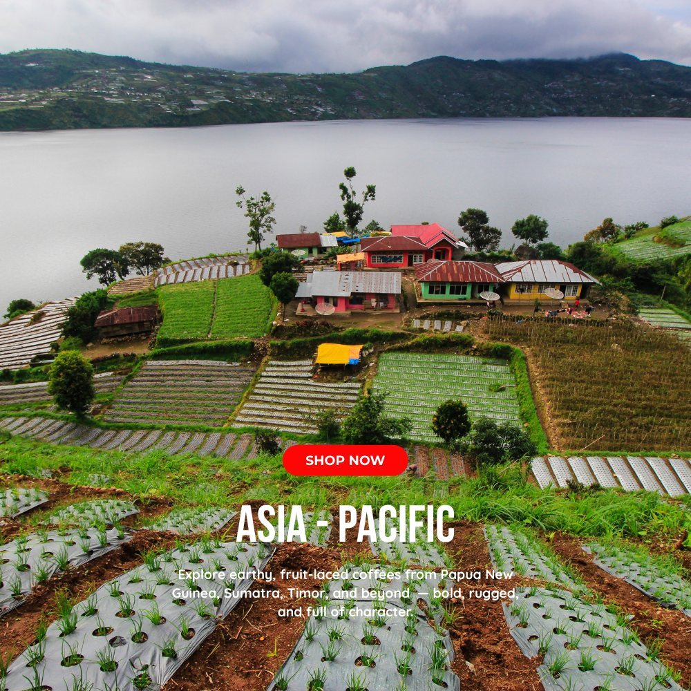Asia-Pacific countryside with vibrant homes and riverside farms – inspired by rich, full-bodied coffee origins like Sumatra and PNG