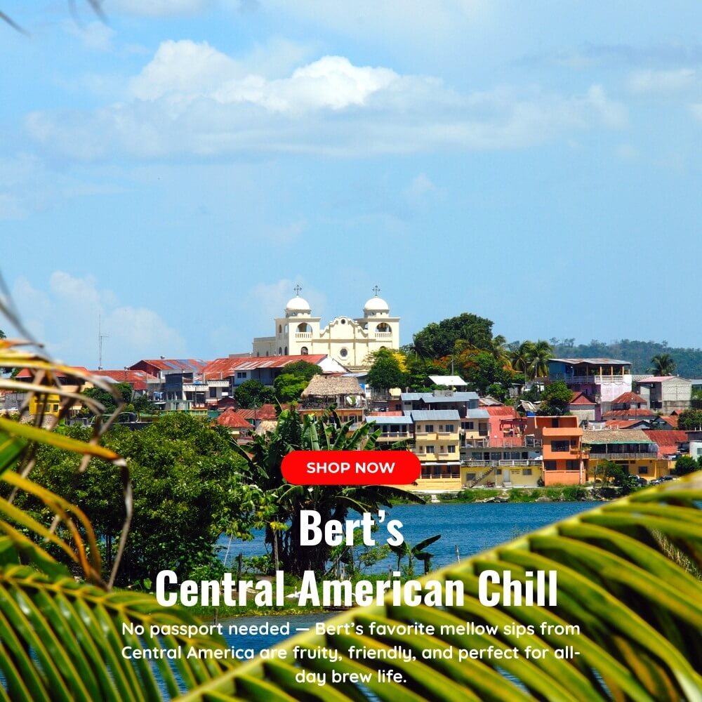 Tropical Central American city view at golden hour – a nod to laid-back vibes and mellow Costa Rica brews