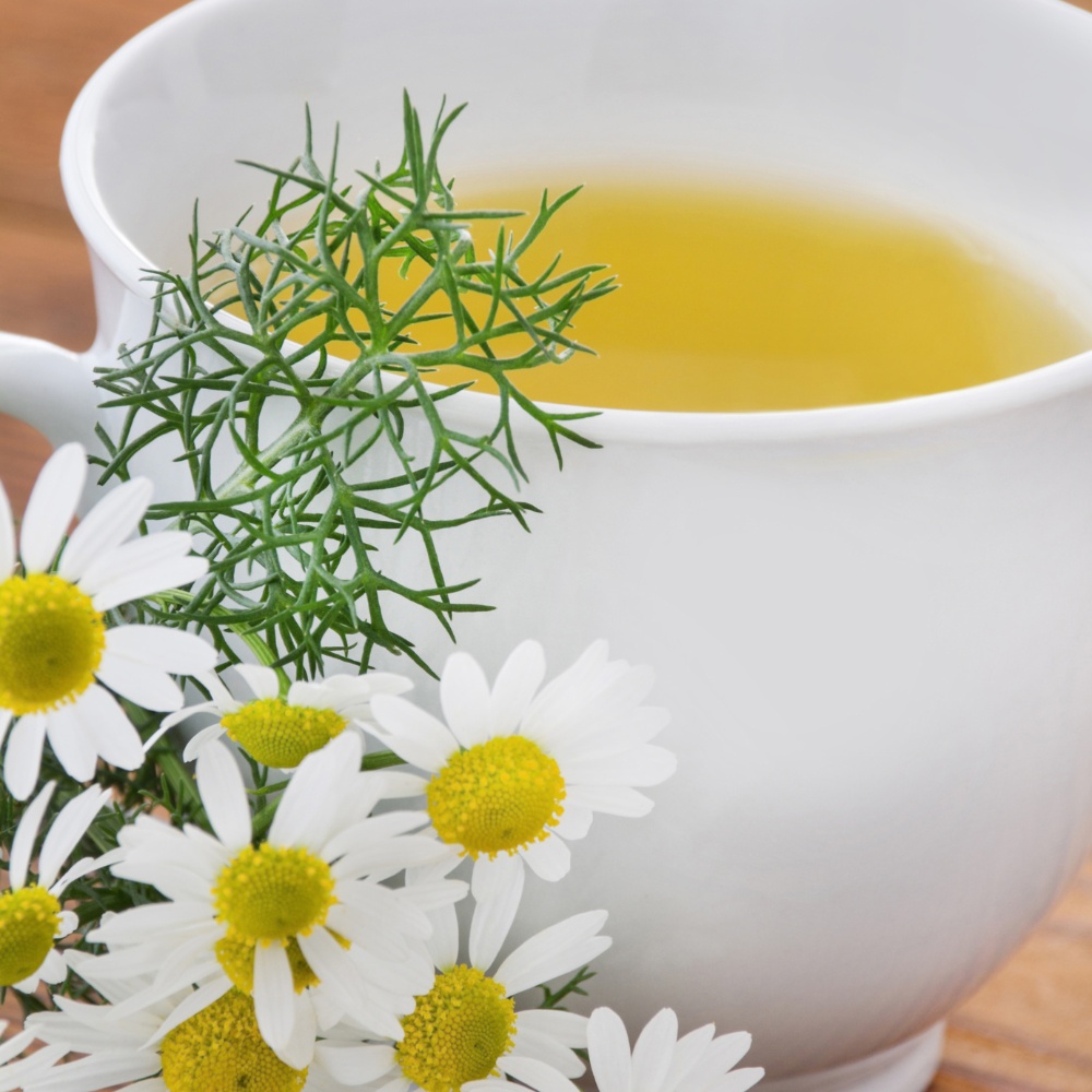 White cup of chamomile tea with chamomile flowers