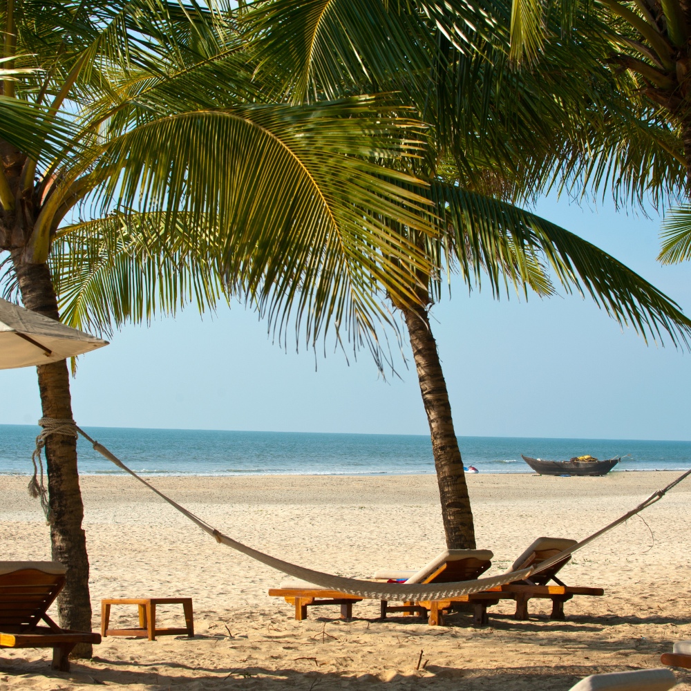 Beach chairs on beach under palm trees with ocean view