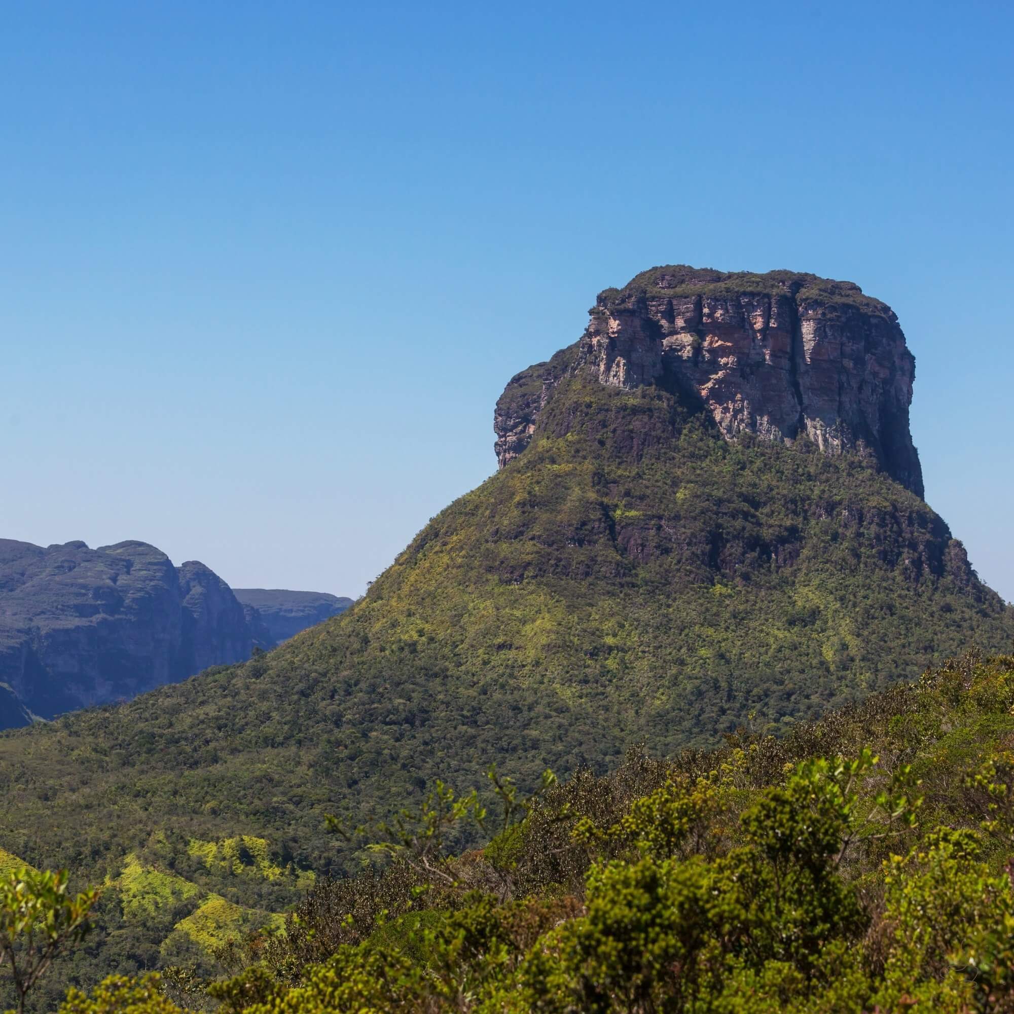 High-elevation coffee farm landscape in Brazil