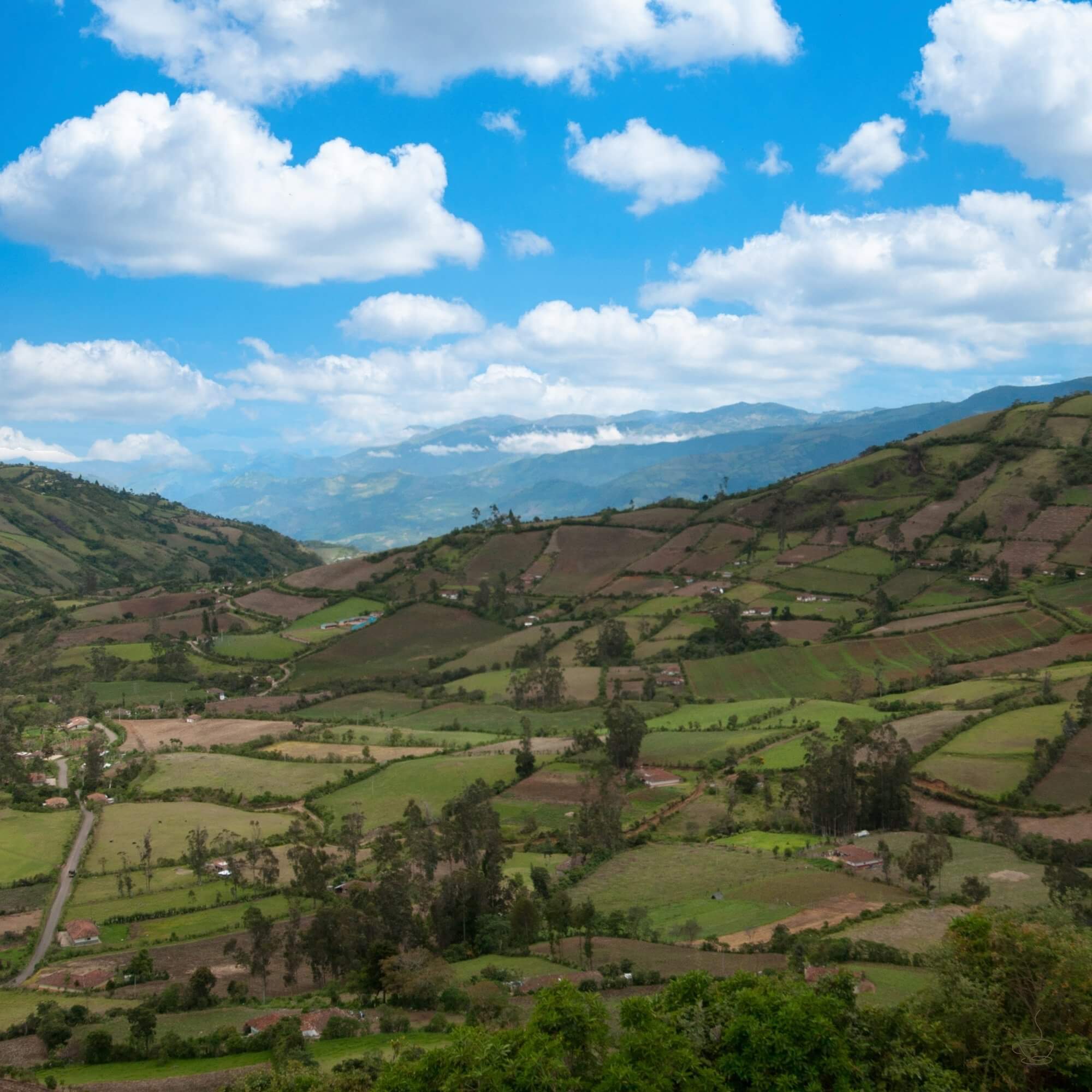Steep coffee slopes in Nariño, Colombia