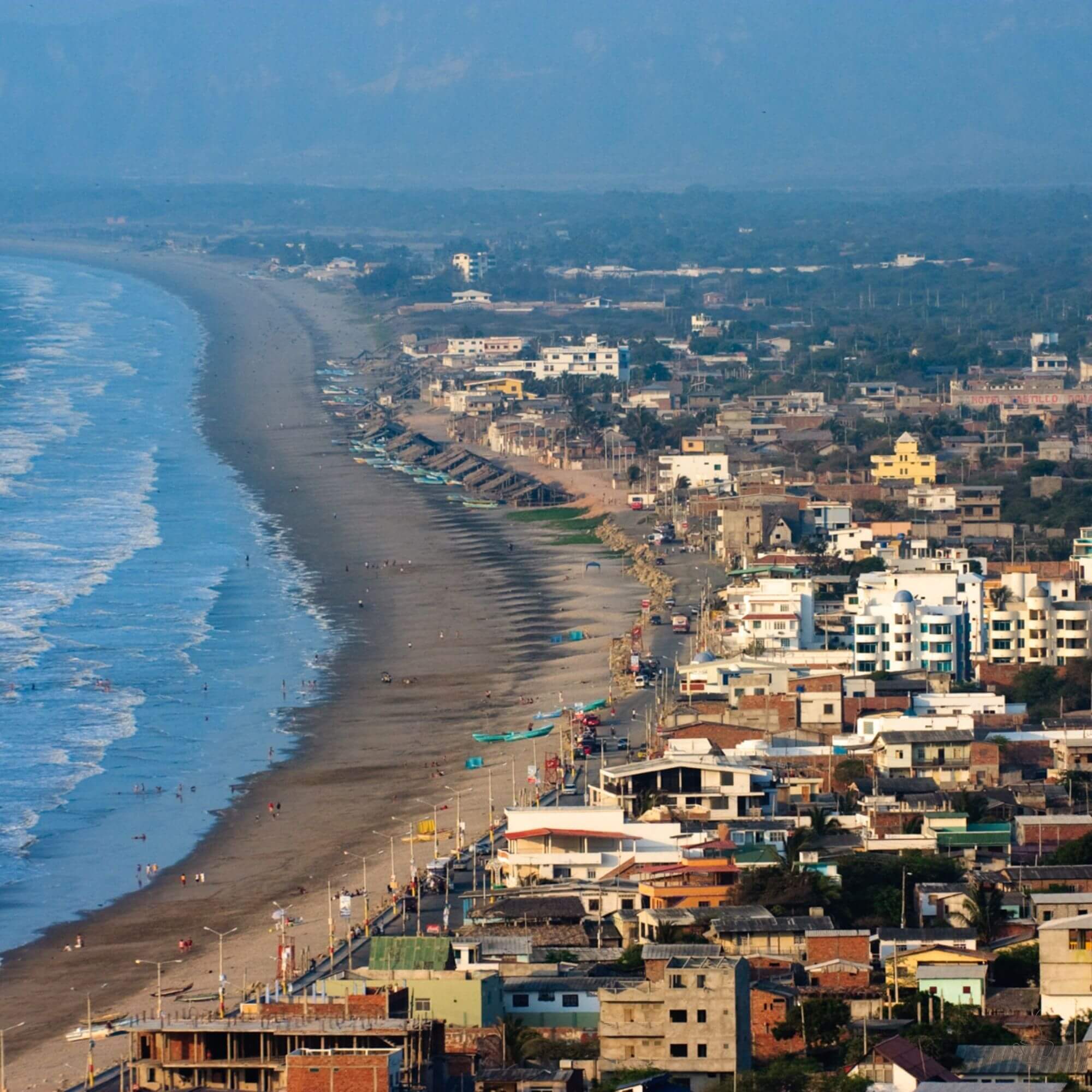 Rows of coffee on steep Ecuadorian hillsides