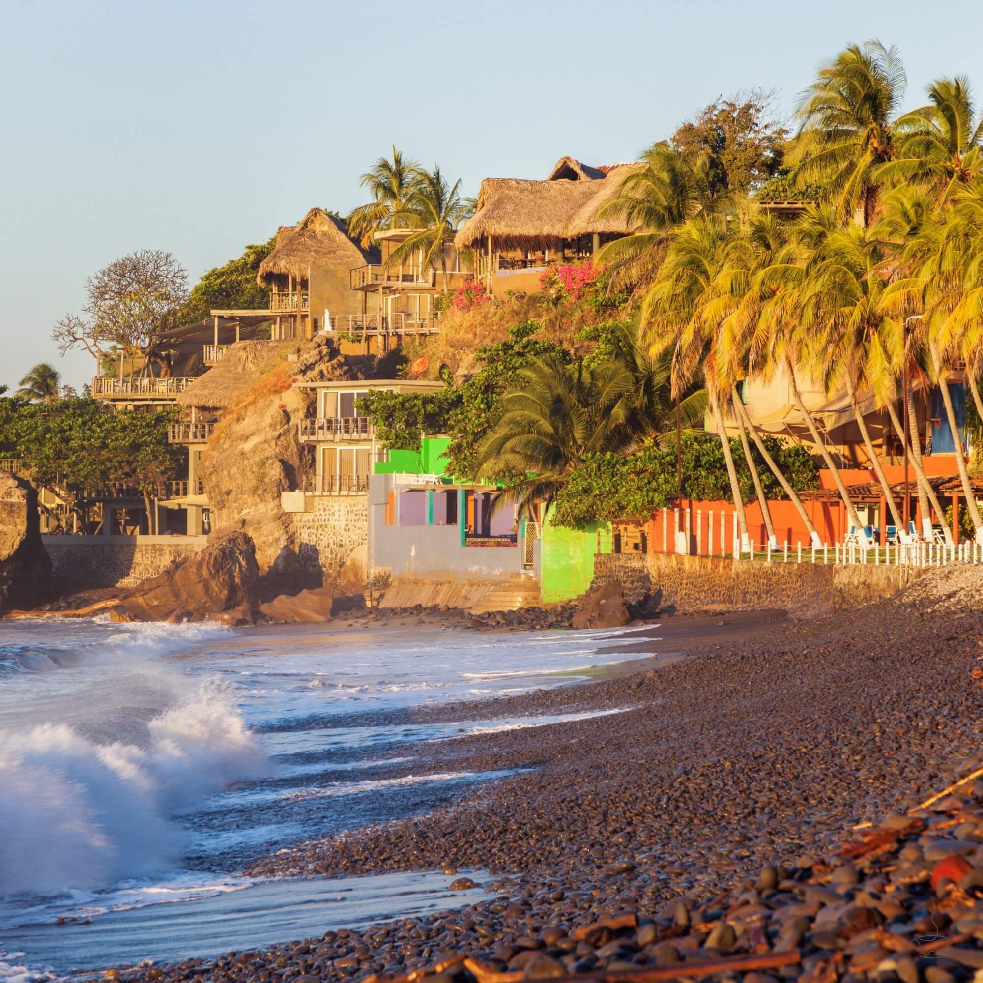 Raised beds with washed and honey coffees drying
