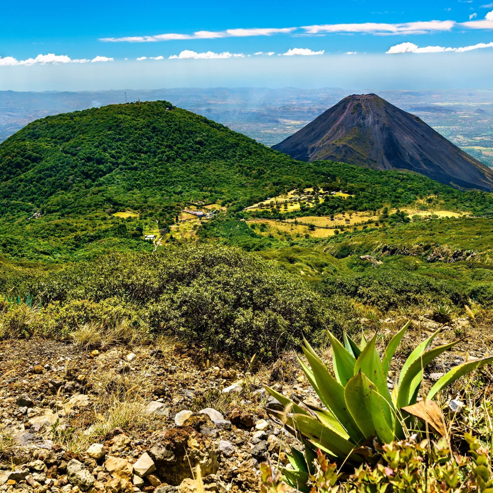 Coffee drying beds and mountains in El Salvador