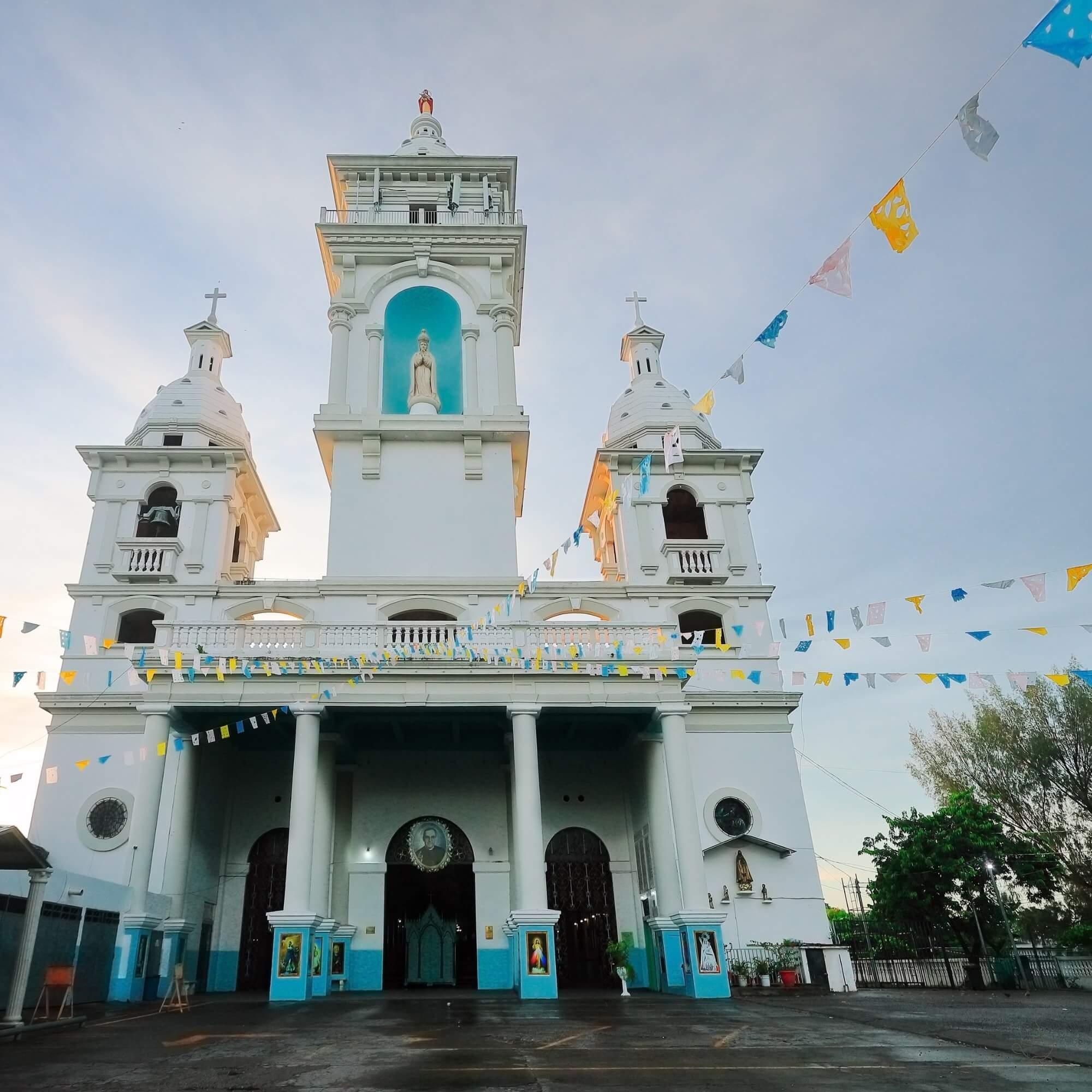 Coffee rows contouring El Salvador hillside
