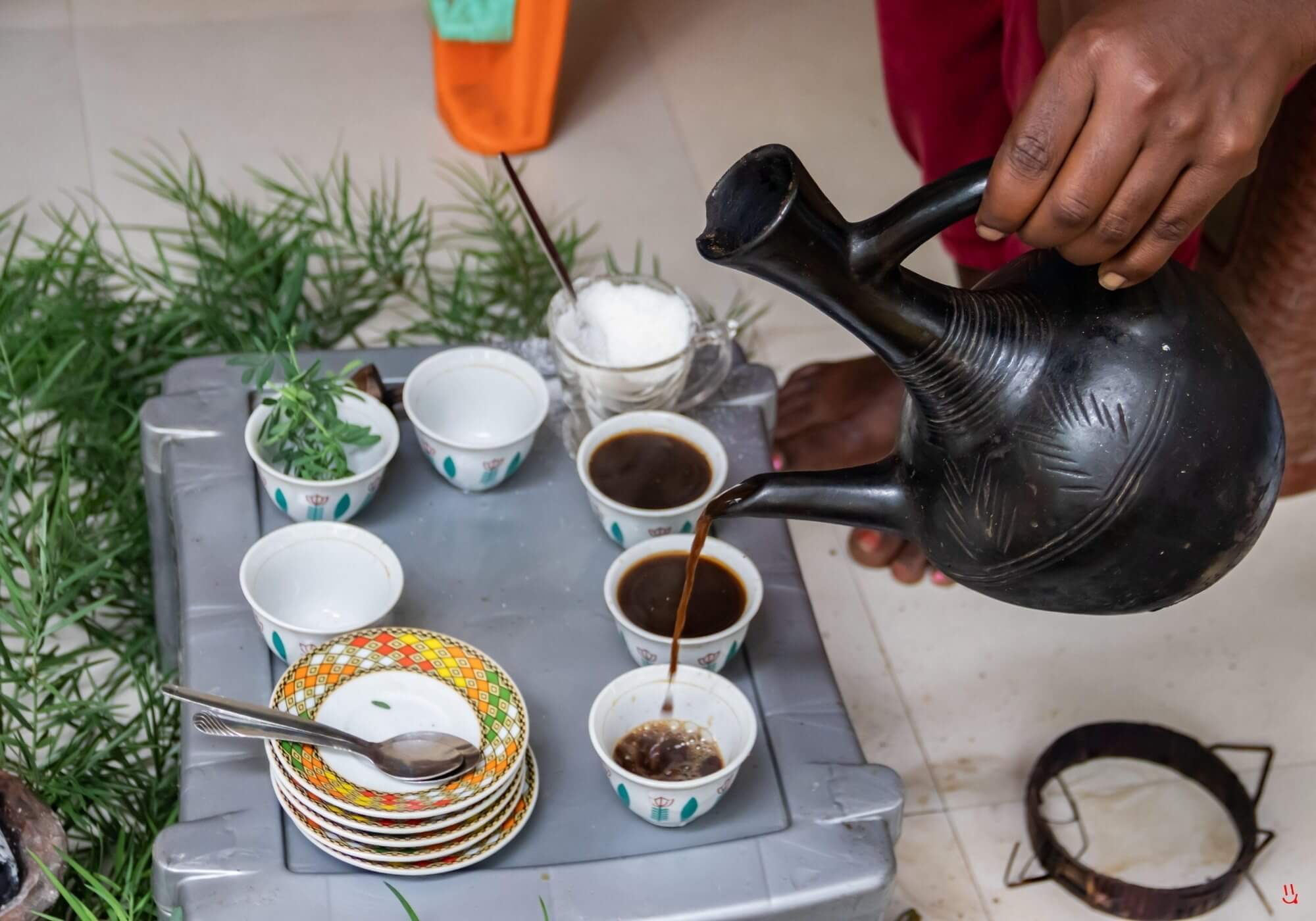 Map highlighting coffee regions in Africa