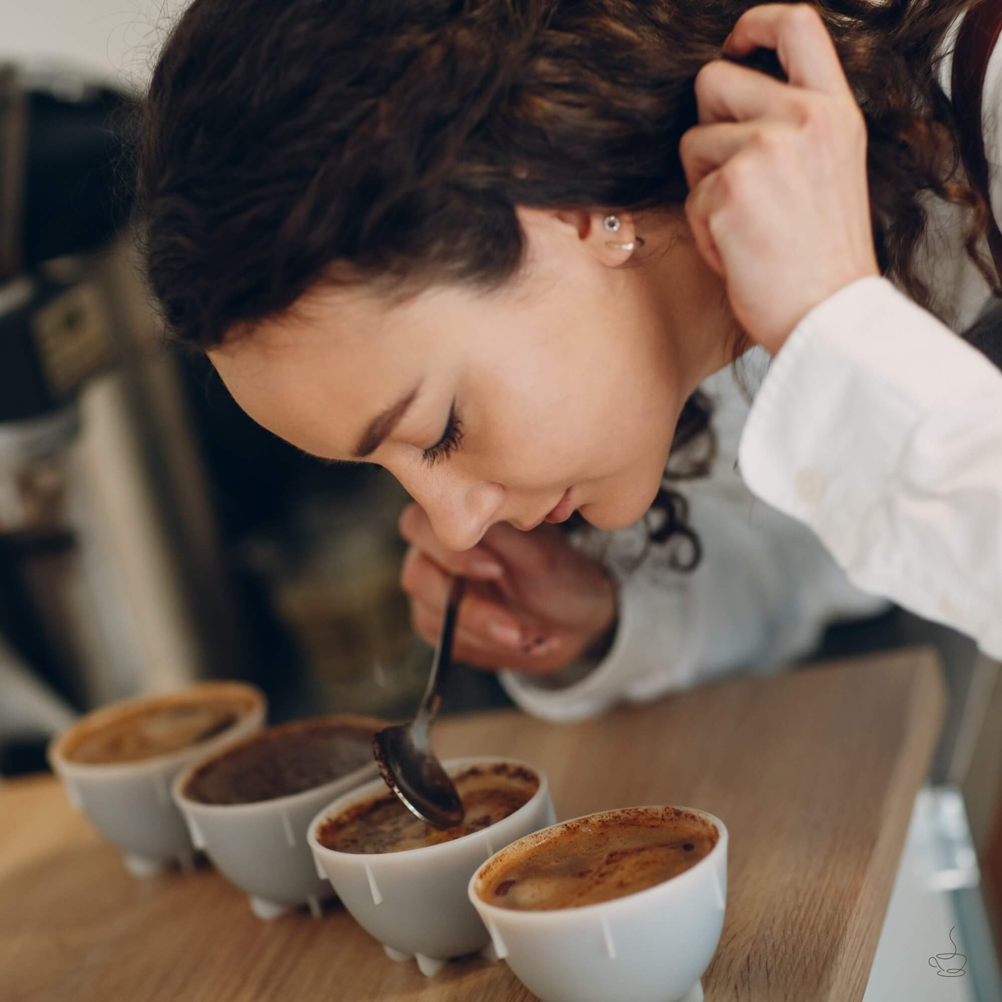 Cooperative cupping table in Sul de Minas