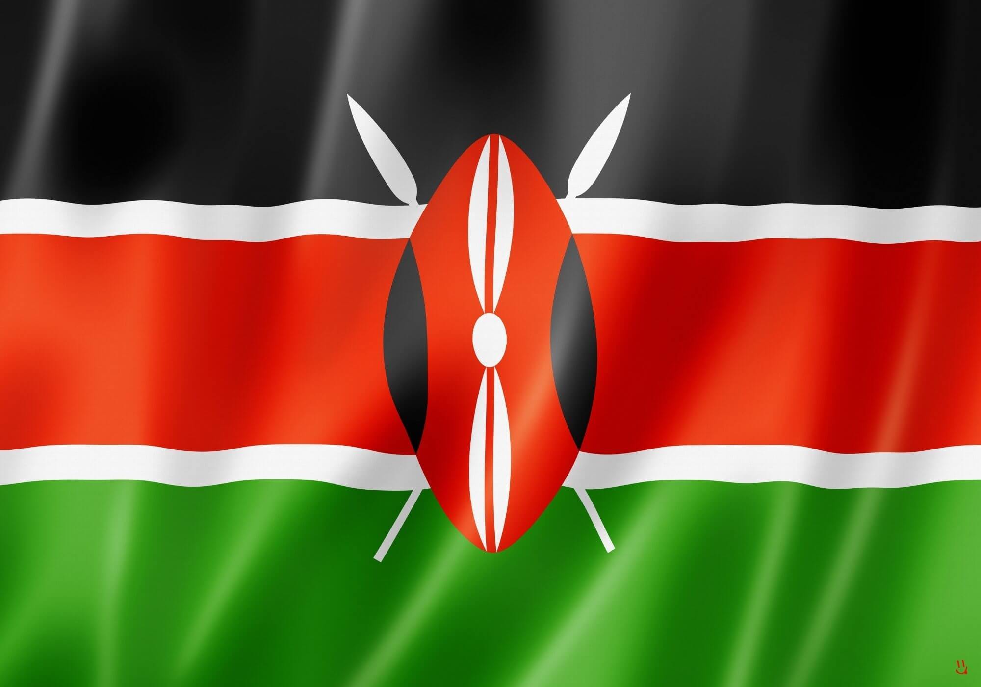 Kenyan coffee slopes