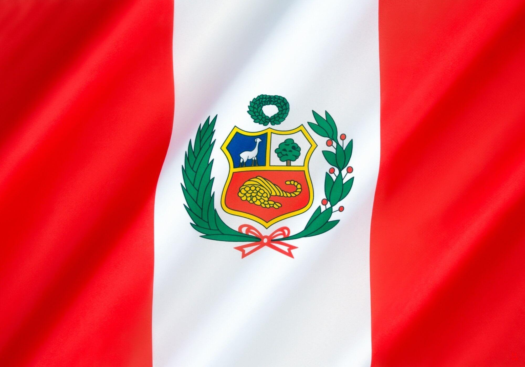 Peru highland coffee scenery